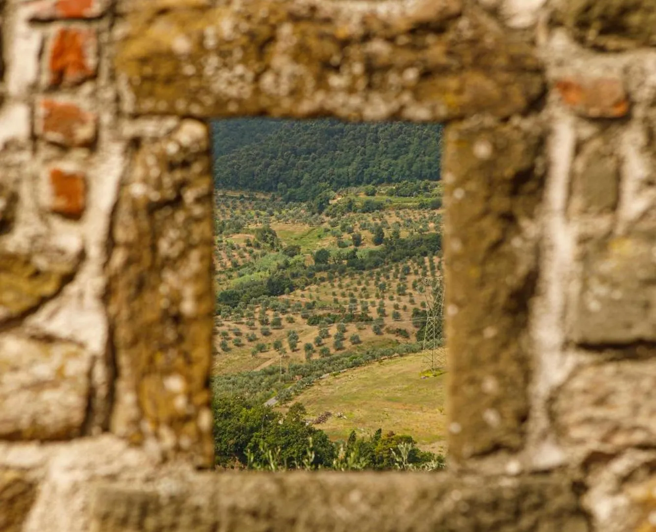 **** Hotel Tenuta Di Artimino Member Of Melia Collection Wine Resort Italie